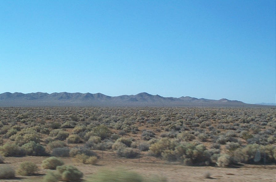 Back in the desert
